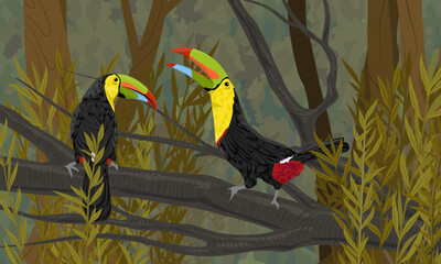 A pair of Keel-billed toucans sits on a branch in the thickets of tropical bushes in the jungle. Realistic vector landscape.