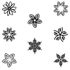 Botanical flower set. Decorative floral vector