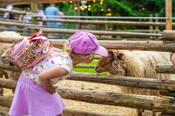 A child feeds a sheep on a farm. Selective focus.