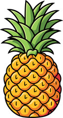 illustration of pineapple, Vector