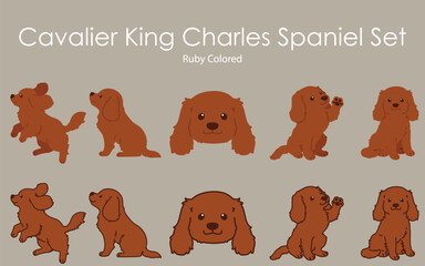 Simple and cute ruby colored Cavalier King Charles Spaniel illustrations set
