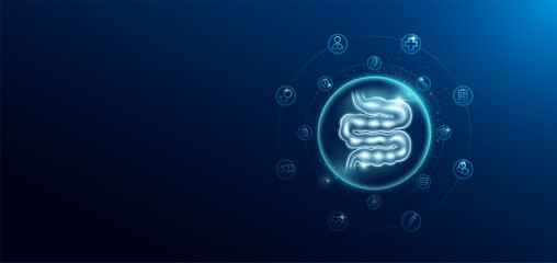 Medical health care. Small intestine in transparent bubbles surround with medical icon. Technology innovation healthcare hologram organ on dark blue background. Banner empty space for text. Vector.