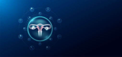 Medical health care. Human uterus in transparent bubbles surround with medical icon. Technology innovation healthcare hologram organ on dark blue background. Banner empty space for text. Vector.