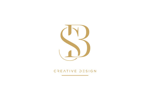 Alphabet letters SB or BS logo monogram