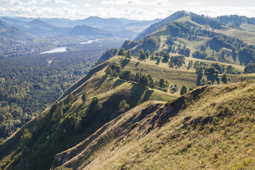 Obraz premium Summer landscape of Altai mountains on a sunny day