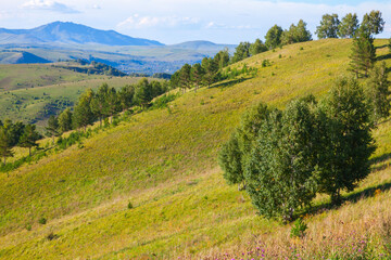 Fototapeta na wymiar Altai mountains landscape photo taken on a sunny summer day