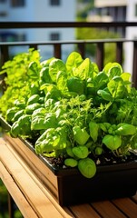 Homemade container garden filled with green vegetables on a balcony