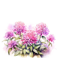 Watercolor Pink Bee Balm or Monarda Background with Copy Space