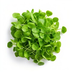 Professional food photography of Watercress, isolated on white background, Watercress isolated on white background