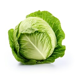 Obraz premium Professional food photography of Cabbage, isolated on white background, Cabbage isolated on white background