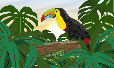 Keel-billed toucan sits on a thick branch in the jungle. Sunset in the tropics. Realistic vector landscape.
