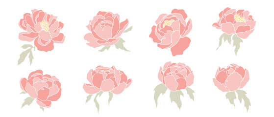 Fototapeta premium Set of peony flowers and buds. Vector graphics.