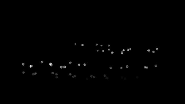 Snow flakes coming top to bottom animation special ocassion on Christmas, motion cold flakes in 4 quality, seasional special snow shower animation.
