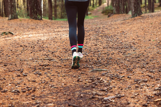 Trailrunning Woman Backcountry Forest Run