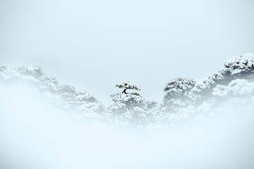 christmas background with snow