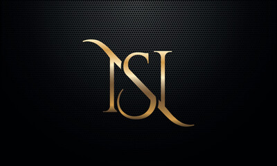 Alphabet letters logo icon SN or NS