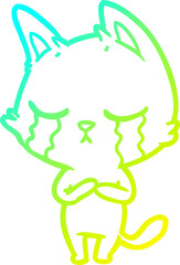 cold gradient line drawing of a crying cartoon cat