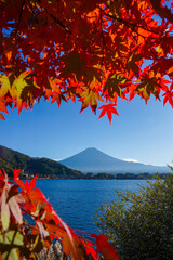 Beautiful landscape view of Mount Fuji with light falling through autumn leaves in Lake Kawaguchi