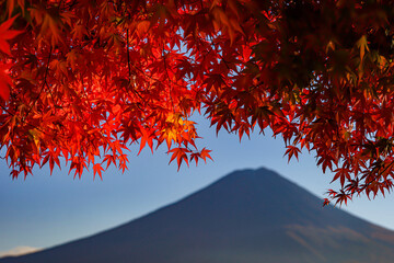 Selective focus of beautiful autumn leaves with view of Mount Fuji in Lake Kawaguchi