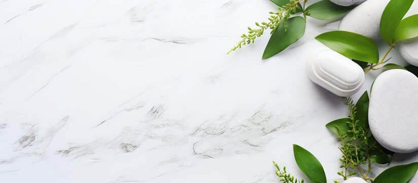 Organic skincare concept with green leaves and white stone background Copy space image Place for adding text or design