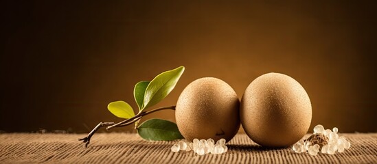 Luo Han Guo also known as Monk fruit a potent natural sweetener Copy space image Place for adding text or design