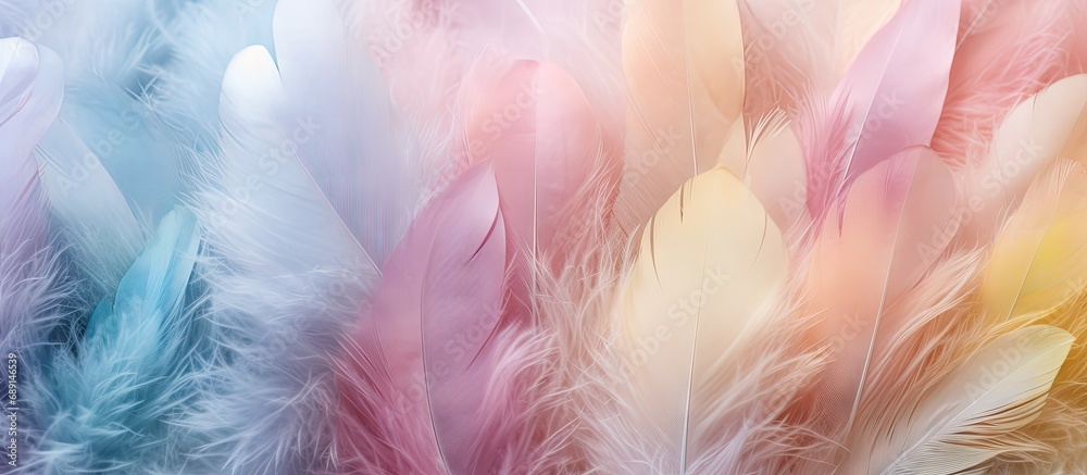 Poster Feather filled multicoloured banner with message area Copy space image Place for adding text or design