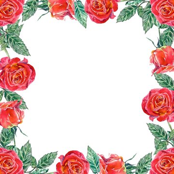 Square frame of red roses and green leaves. Watercolor illustration isolated on white background. Greeting cards, wedding invitations, Valentines day.