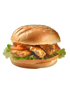 Grilled chicken sandwich burger isolated transparcy backgorund. png