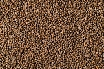 Perilla seed texture background, Healthy herbal seed ingredients in Asian food