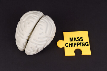 On a black surface lies a brain and a yellow puzzle with the inscription - mass chipping