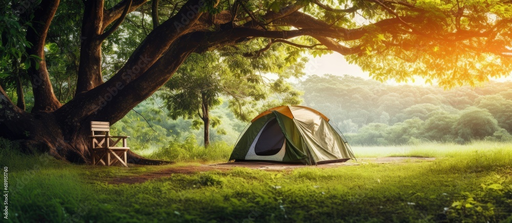 Poster camping with tent and accessories under the big tree surrounded by beautiful nature perfect for trav
