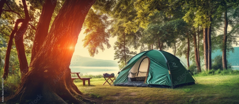 Poster camping with tent and accessories under the big tree surrounded by beautiful nature perfect for trav