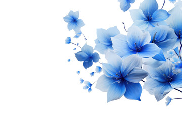 Beautiful Blue Flower With Transparent Background, Transparent White Background, Png.
