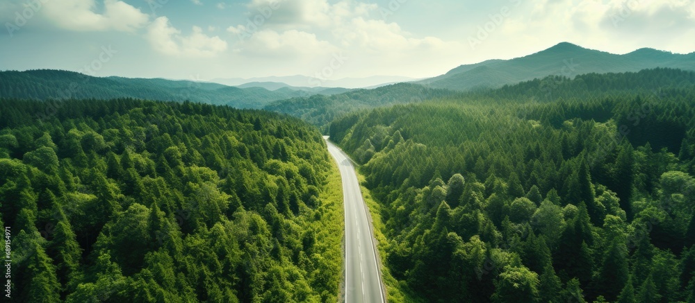 Poster countryside road passing through green forest and mountain seen from above copy space image place fo