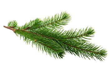 Christmas Pine Twig On Transparent White Background, Png.