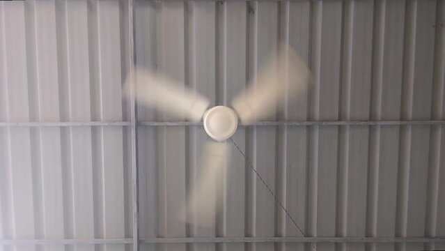 a white electric ceiling fan with fast spinning blades for wind cooling in the room fixed on an old metal roof