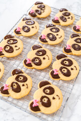 Panda shaped shortbread cookies with chocolate icing