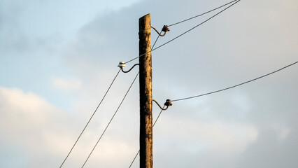 Power line poles at sunset