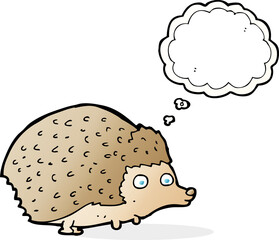 cartoon hedgehog with thought bubble