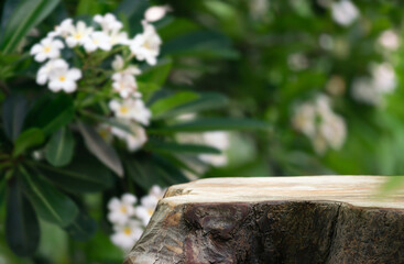 Wood podium tabletop floor outdoor blurred white frangipani flowers background.Natural beauty cosmetic or spa aromatherapy product mock up present pedestal stand display, spring and summer concept.