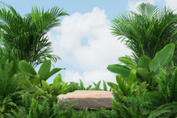 empty stone podium on green grass with tropical forest plant blur cloud blue sky background with space.organic healthy product present natural placement pedestal display,spring and summer concept.