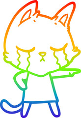 rainbow gradient line drawing of a crying cartoon cat in dress pointing