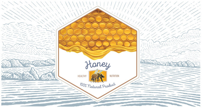 Combined illustration, which includes of a honeycomb filled with honey, with a bee and a rural landscape in the background. Form of a set as a label layout,  Vector illustration.