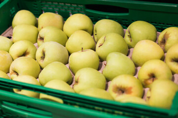 Green box full of apples. Supermarket fruit background. Green yellow apple. Fruit shop texture. Fruits transporation background.