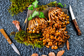 raw mushrooms on kitchen table, fresh mushrooms