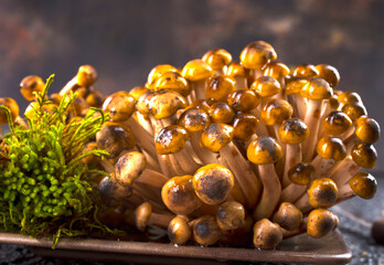 raw mushrooms on kitchen table, fresh mushrooms