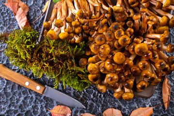 raw mushrooms on kitchen table, fresh mushrooms