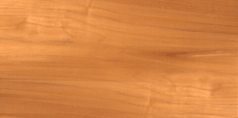 Wood texture. Wood texture for design and decoration