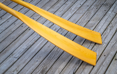 blades of wooden rowing oars against rustic, grunge wood deck