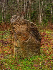 A large rock in the forest was formed after the weathering of rocks